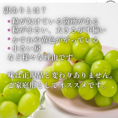 【2026年先行受付】山梨県産 匠のシャインマスカット 訳あり 約2kg(4～8房)