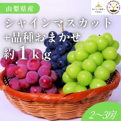 【2026年先行受付】山梨県産 匠のシャインマスカット+品種おまかせ 約1kg(2～3房)
