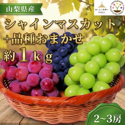 【2026年先行受付】山梨県産 匠のシャインマスカット+品種おまかせ 約1kg(2～3房)