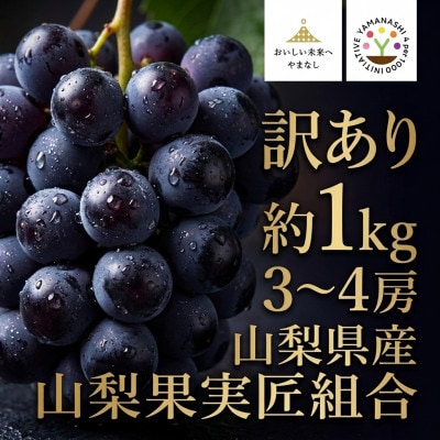 【2026年先行受付】山梨県産 紫玉 訳あり 1kg(3～4房)