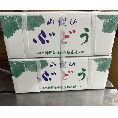 精選シャインマスカット5kg。メイア農園から　恋しくなる大自然の恵みを　お届け致します。