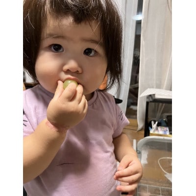 精選シャインマスカット5kg。メイア農園から　恋しくなる大自然の恵みを　お届け致します。