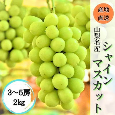 ◆2025年先行受付◆ 産地直送 山梨名産!自慢のシャインマスカット 3～5房(計2kg)