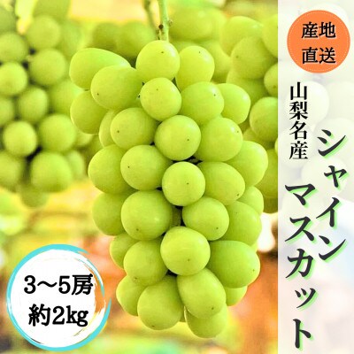 ◆2026年発送◆ 産地直送 山梨名産!自慢のシャインマスカット 3～5房(約2kg)
