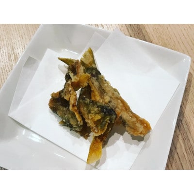 活鮎料理コース