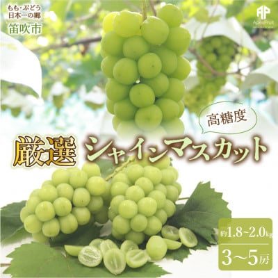 <2025年先行受付>笛吹市産 厳選!シャインマスカット 約1.8～2kg(3～5房)