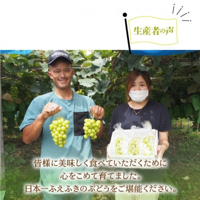 <2025年先行受付>笛吹市産 厳選!シャインマスカット 約1.8～2kg(3～5房)