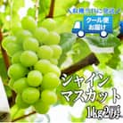 先行予約　2026発送分　クール便発送　シャインマスカット 1kg 　2房