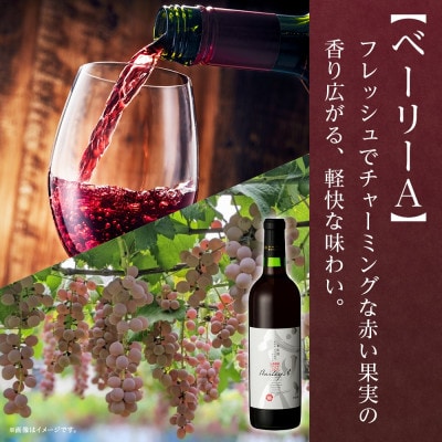 甲州辛口・ベーリーA  2本セット 720ml 白ワイン 赤ワイン モンデ酒造 山梨県 笛吹市