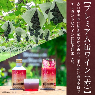 モンデ酒造の プレミアム缶ワイン 2種 赤 白 300ml 各12本 計24本 山梨県 笛吹市