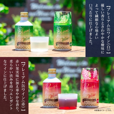 モンデ酒造の プレミアム缶ワイン 3種セット 各8本 計24本 山梨県 笛吹市