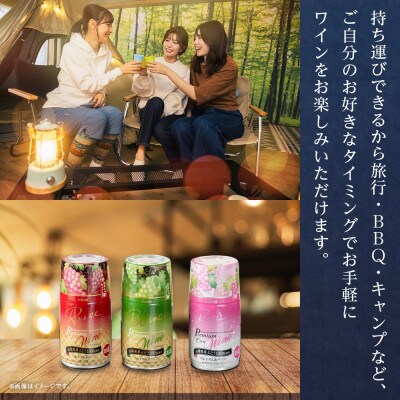 モンデ酒造の プレミアム缶ワイン ロゼ スパークリング 290ml 12本入  山梨県 笛吹市