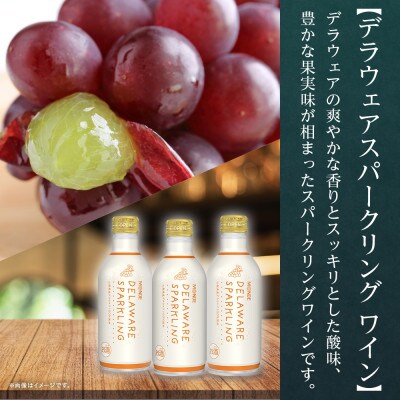 モンデ酒造の　デラウェアスパークリング 290ml 12本入  山梨県 笛吹市