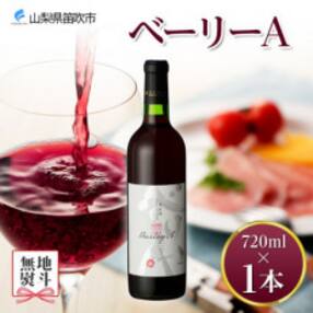 【熨斗】 ベーリーA 720ml 1本 赤ワイン モンデ酒造 山梨県 笛吹市