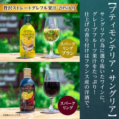 プティモンテリア 6種 飲み比べ セット 各2本 計12本 缶ワイン モンデ酒造 山梨県 笛吹市