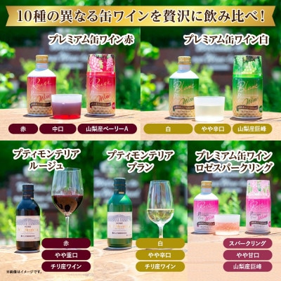缶ワイン 欲張り 10種 飲み比べ セット 各2本 計20本 モンデ酒造 山梨県 笛吹市