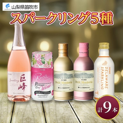 スパークリングワイン 5種 飲み比べ ボトルワイン1本・缶ワイン4種8本 山梨県 笛吹市