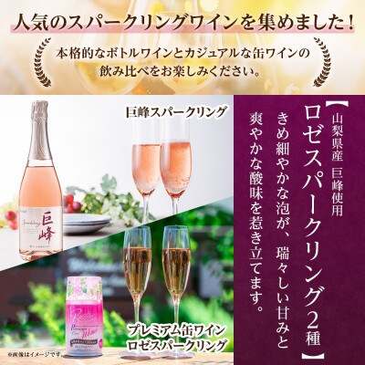 スパークリングワイン 5種 飲み比べ ボトルワイン1本・缶ワイン4種8本 山梨県 笛吹市
