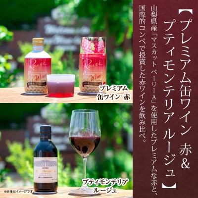 赤ワイン 3種 9本 飲み比べ 瓶1本・缶2種8本セット モンデ酒造 山梨県 笛吹市