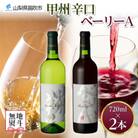 【熨斗】甲州辛口・ベーリーA  2本セット 720ml 白ワイン 赤ワイン モンデ酒造 山梨県笛吹市