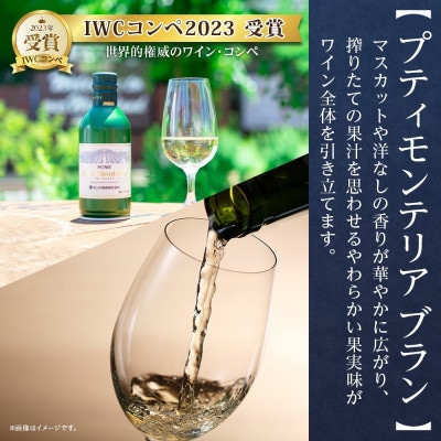 【熨斗】プティモンテリア 3種 飲み比べ ブラン スパークリング ロゼ 各2本計6本 山梨県笛吹市