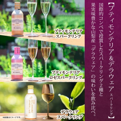 【熨斗】スパークリングワイン 5種 飲み比べ ボトルワイン1本・缶ワイン4種8本 山梨県 笛吹市