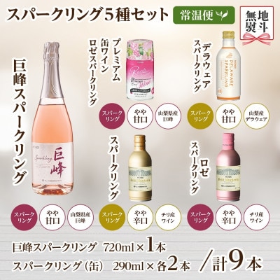 【熨斗】スパークリングワイン 5種 飲み比べ ボトルワイン1本・缶ワイン4種8本 山梨県 笛吹市