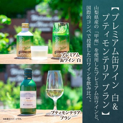 【熨斗】 白ワイン 3種 9本 飲み比べ ボトル1本・缶2種8本 モンデ酒造 山梨県 笛吹市