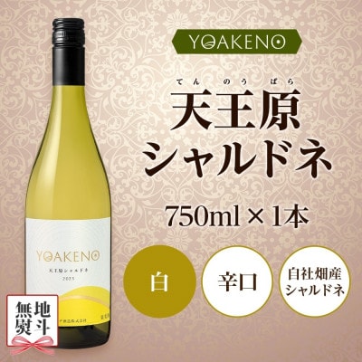 【のし付き】山梨県 YOAKENO 天王原シャルドネ 750ml×1本 白ワイン モンデ酒造 笛吹市