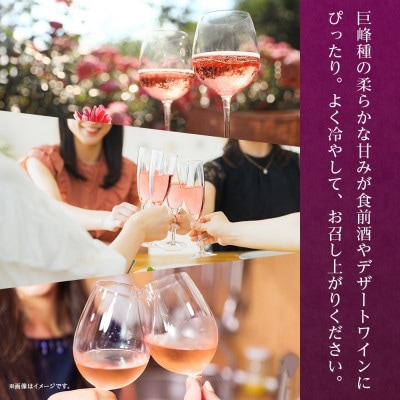【のし付き】山梨県 巨峰ワイン 720ml×12本 ロゼワイン 甘口 モンデ酒造 笛吹市