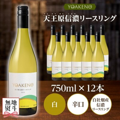 【のし付き】山梨県 YOAKENO 天王原信濃リースリング 12本 白ワイン モンデ酒造 笛吹市