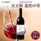 山梨県 YOAKENO天王原北杜の雫 750ml×12本 赤ワイン 辛口 モンデ酒造 笛吹市