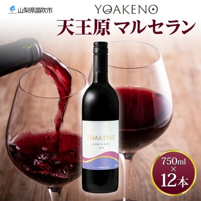 山梨県 YOAKENO 天王原マルセラン 750ml 12本 赤ワイン 重口 モンデ酒造 笛吹市