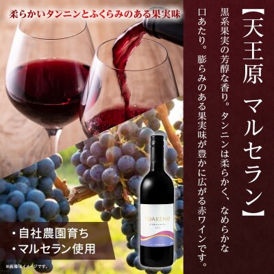 山梨県 YOAKENO 天王原マルセラン 750ml 12本 赤ワイン 重口 モンデ酒造 笛吹市