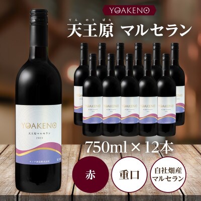 山梨県 YOAKENO 天王原マルセラン 750ml 12本 赤ワイン 重口 モンデ酒造 笛吹市