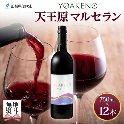 【のし付き】山梨県 YOAKENO 天王原マルセラン 12本 赤ワイン 重口 モンデ酒造 笛吹市
