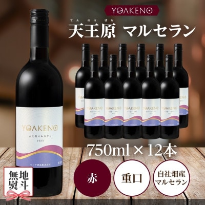 【のし付き】山梨県 YOAKENO 天王原マルセラン 12本 赤ワイン 重口 モンデ酒造 笛吹市