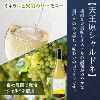 山梨県 YOAKENO 飲み比べ(天王原シャルドネ・シャルドネスパークリング) 各1本 笛吹市