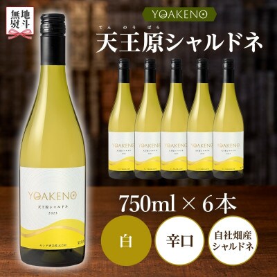 【のし付き】山梨県 YOAKENO 天王原シャルドネ 750ml×6本 白ワイン モンデ酒造 笛吹市