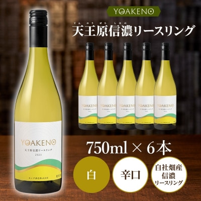 山梨県 YOAKENO 天王原信濃リースリング 750ml×6本 白ワイン 辛口 モンデ酒造 笛吹市