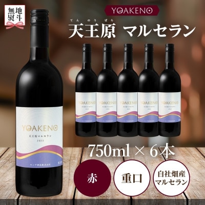 【のし付き】山梨県YOAKENO天王原マルセラン 750ml×6本 赤ワイン 重口 モンデ酒造 笛吹