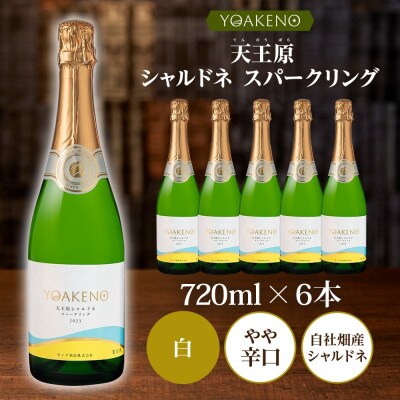 山梨県 YOAKENO 天王原 シャルドネ スパークリング 720ml×6本 モンデ酒造 笛吹市