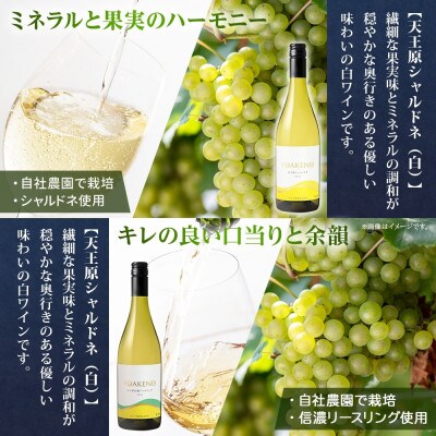 無地熨斗 山梨県 YOAKENO 飲み比べ 5種×各1本 赤 白 泡 ワイン モンデ酒造 笛吹市