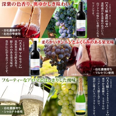 無地熨斗 山梨県 YOAKENO 飲み比べ 5種×各1本 赤 白 泡 ワイン モンデ酒造 笛吹市