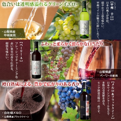 山梨県 モンデ酒造 モンデワイン 飲み比べ 5種×各1本 赤 白 スパークリング 笛吹市