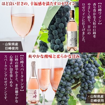 無地熨斗 山梨県 モンデ酒造 モンデワイン 飲み比べ 5種×各1本 赤 白 スパークリング 笛吹市
