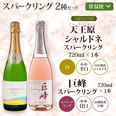 山梨県 スパークリング 2種飲み比べ(シャルドネスパークリング・巨峰スパークリング)各1本 笛吹市