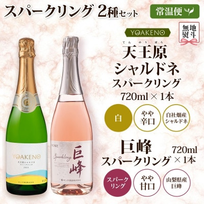 無地熨斗 山梨県 スパークリング 2種飲み比べ(シャルドネ 泡・巨峰 泡)各1本 笛吹市