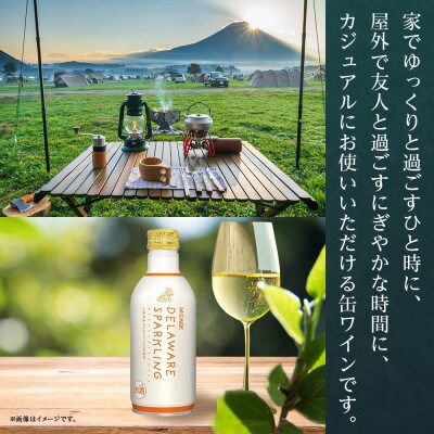 無地熨斗 デラウェアスパークリングワイン 白 290ml 6本入 モンデ酒造 山梨県 笛吹市