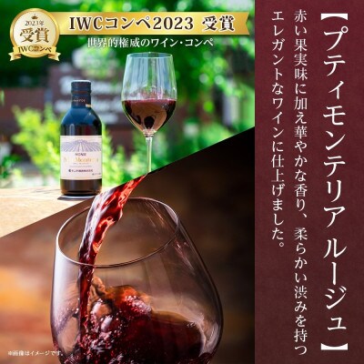 無地熨斗 プティモンテリア ルージュ 300ml×6本入 赤ワイン モンデ酒造 山梨県 笛吹市